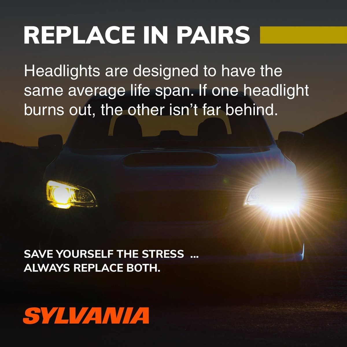 Sylvania Silverstar ZXE Gold H11 55W Two Bulbs Headlight Low Sylvania Silverstar ZXE Gold H11 55W Two Bulbs Headlight Low