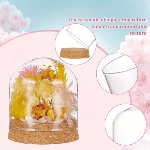 2Sets Glass Dome Cover Decorative Display Case Cloche Bell Jar Terrarium - Picture 4 of 6