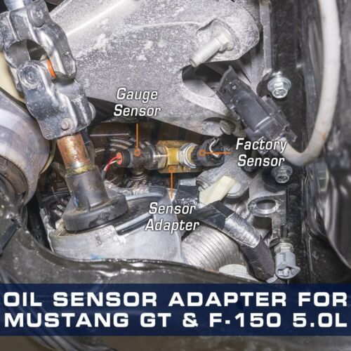 GlowShift Oil Sensor Thread Adapter for Ford Mustang GT & F150 5.0L Coyote - Bild 3 von 3