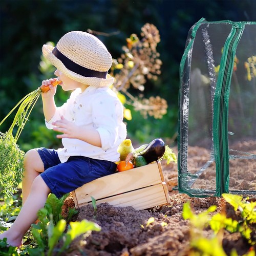 Clear Plastic Poly Tunnel Grow Greenhouse Plants Portable for Tomatoes Veg Fruit - Picture 7 of 8