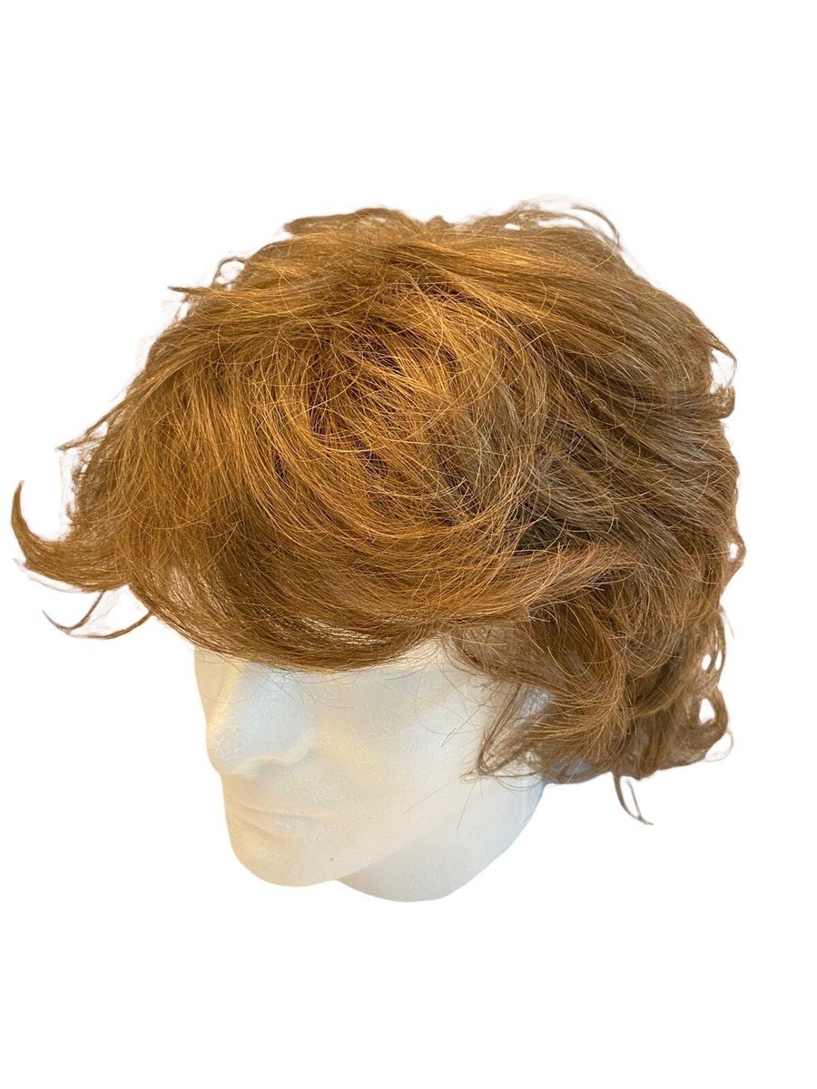 Vintage Paula Young Alexis Wig Color 12 Brown Short Original  display picture 2
