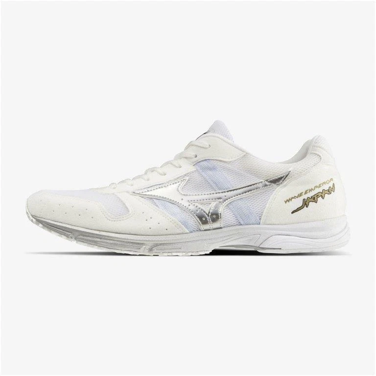 Mizuno wave shop cruise 11 silver