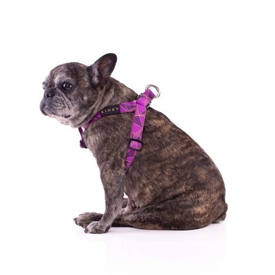 Kinky Harness HARNESS / BERRY EMPORIA LUREX Dog Size XL Purple