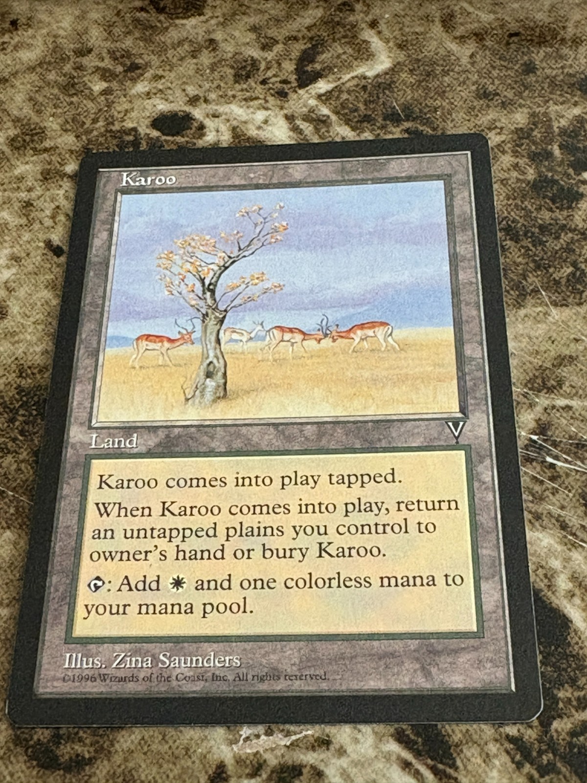 KAROO Magic the Gathering MTG Visions LP