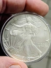 2004 American Eagle 1 oz .999 Fine Silver Coin U.S. Mint Uncertified Bullion