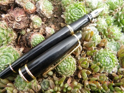 Stylo Plume Waterman Modèle Expert - Neuf De Stock - Plume M (Moyenne) - Couleur Gris - Sans Emballage