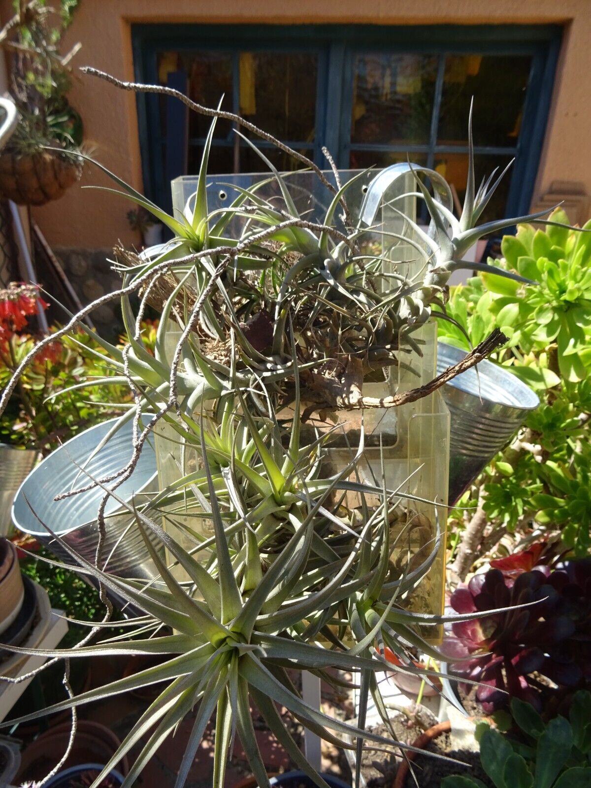 Picture 14 of 24