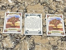 (3) 2021 Topps Allen & Ginter Arboreal Appreciation Arbutus #AA-9 Baseball Cards