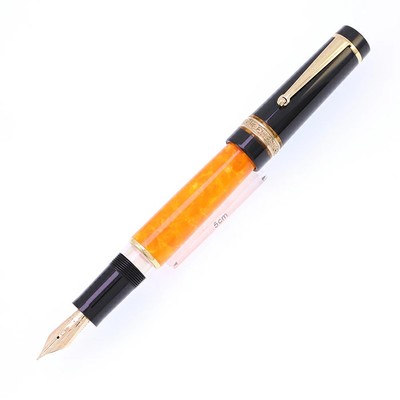 Import duty included  DN Delta Nino Marino Fountain Pen DV 2.0 Gold Trim 14K F