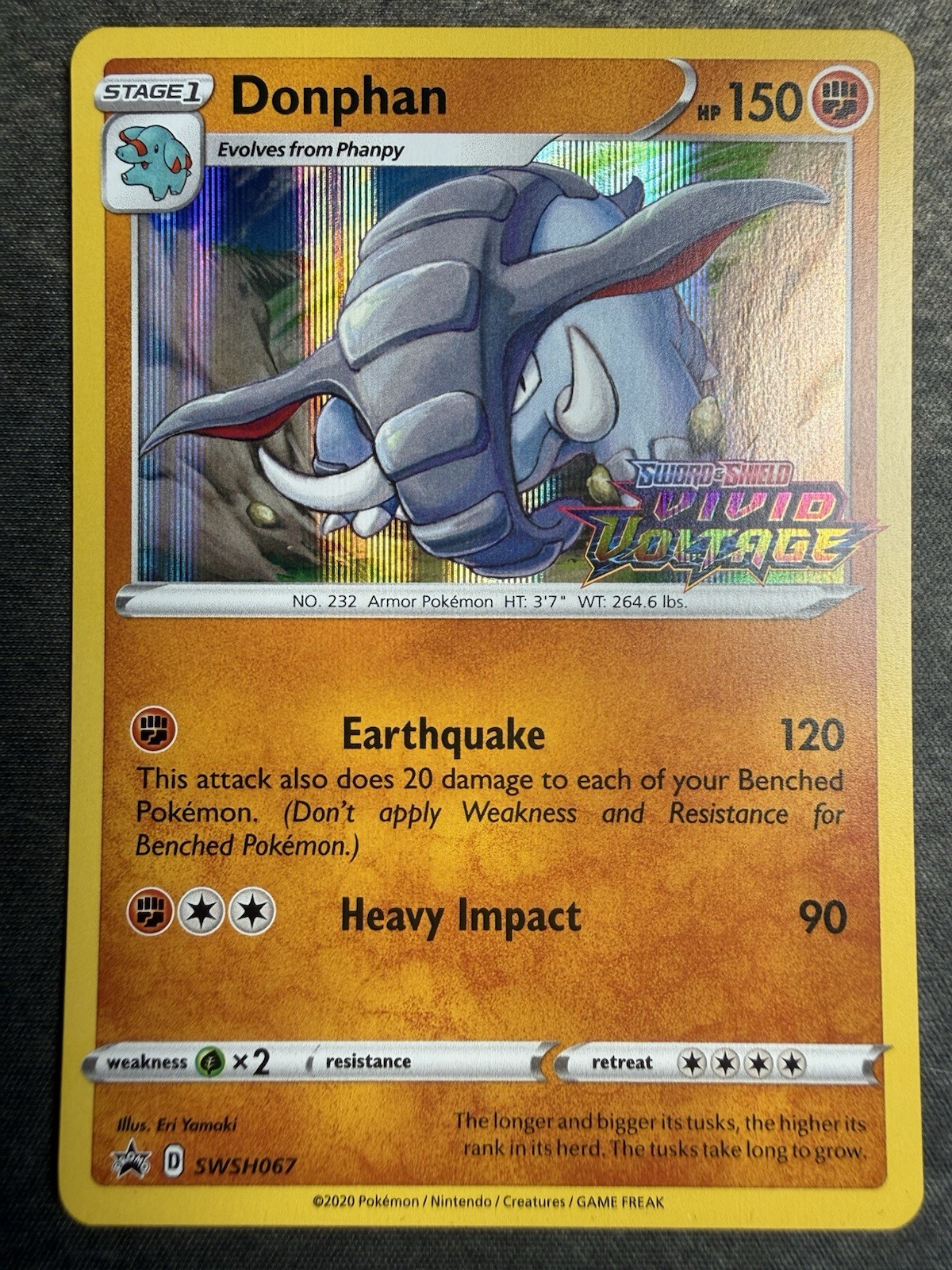 Donphan - (Prerelease) SWSH067 SWSH: Sword & Shield Promo Cards Holo