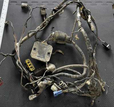 02-03 KAWASAKI PRAIRIE 650 MAIN ENGINE WIRING HARNESS GREAT SHAPE NO CUT WIRES