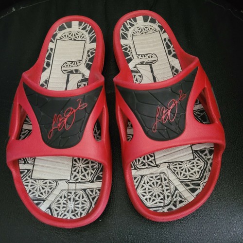 lebron slippers