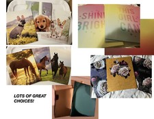 Pocket Portfolio Folders CHOICE Inspirational Horses Dogs Metallic Poly Business
