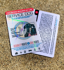 SERVICE DOG ID CARD WITH REGISTRATION - HOLOGRAPHIC