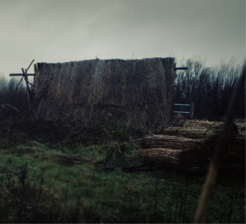 Альбом Monnik Vondeling (CD)