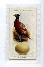 (Jj3633) OGDENS,BRITISH BIRDS & THEIR EGGS,PHEASANT,1939,#27