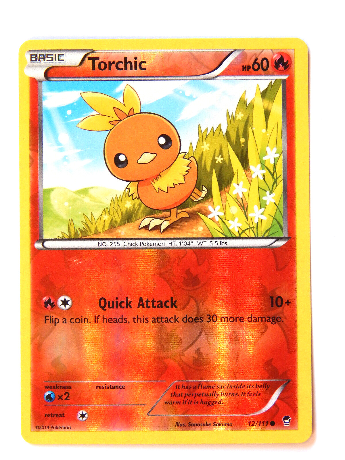 Torchic 12/111 (NM, Pokemon Card, Furious Fists, 2014, Fire, Reverse Holo)