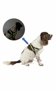 flashing dog harness