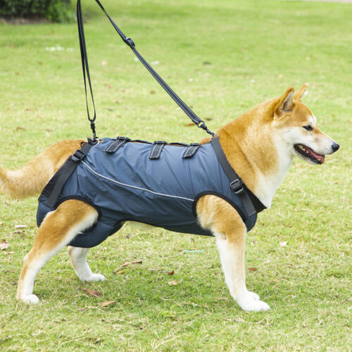 Hunde Hebegeschirr, verstellbares Hebegeschirr, Stützschlinge für Hunde XS - XL. - Bild 16 von 27