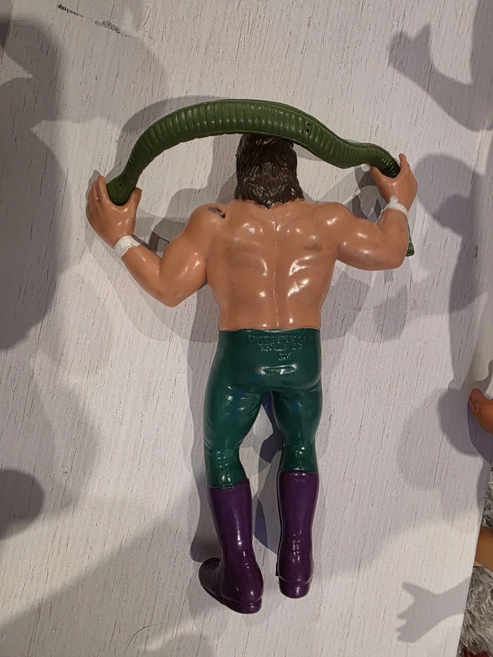 Figura de acción de lucha libre Jake The Snake Roberts con Damien 1987 WWE WWF envío gratuito Foto 2 de 3