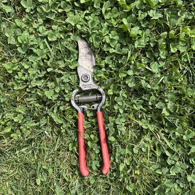 Vintage Corona  Utility Pruning Shear 8'' Very Sharp