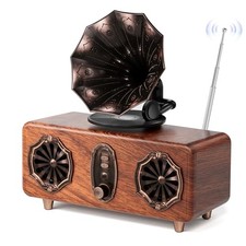 Retro Bluetooth Speaker, FM Radio with Dual-Speaker Design, Bluetooth 5.4