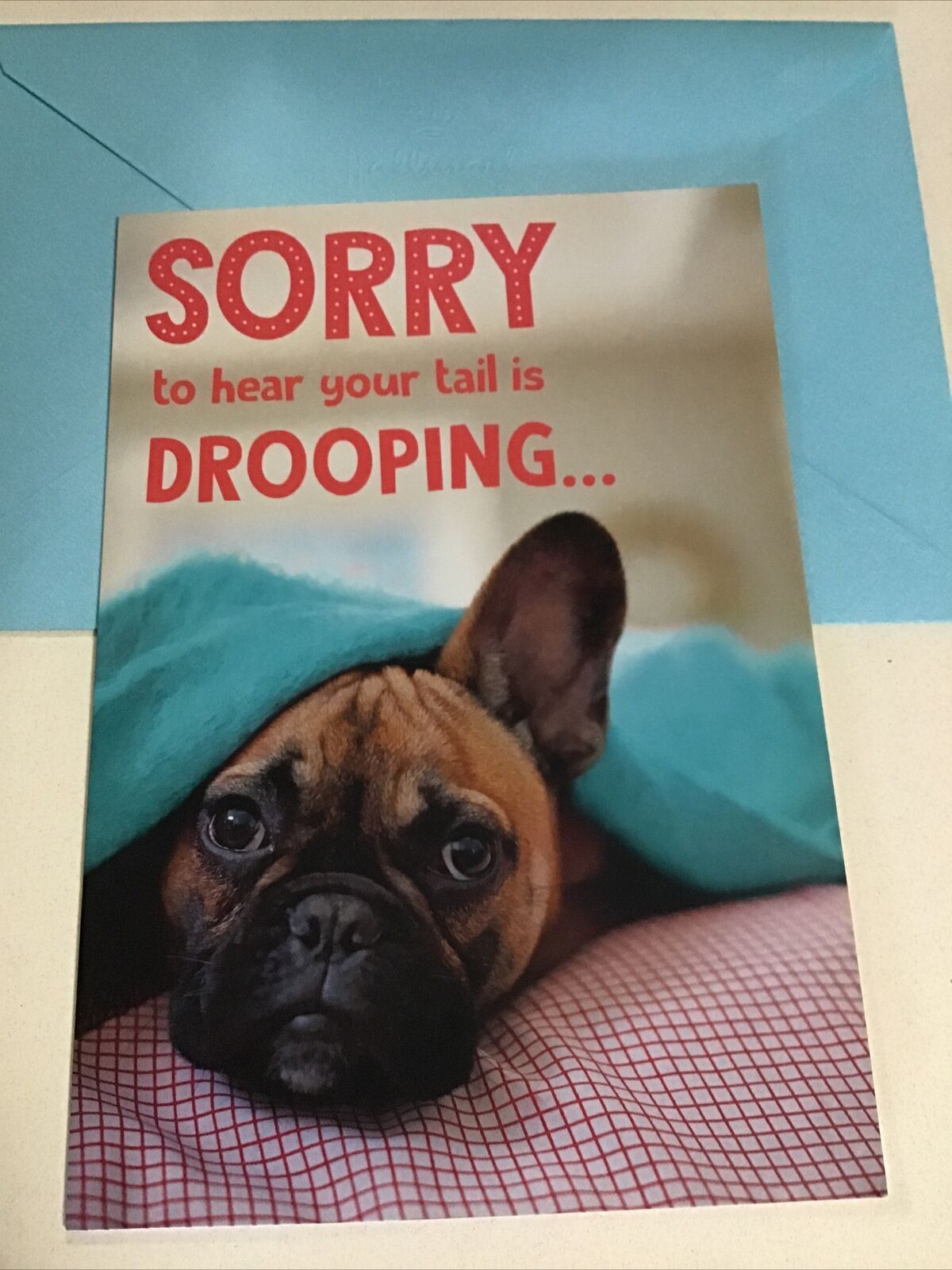 Get Well Soon Feel Better Soon Funny Dog Hallmark Greeting Card ...