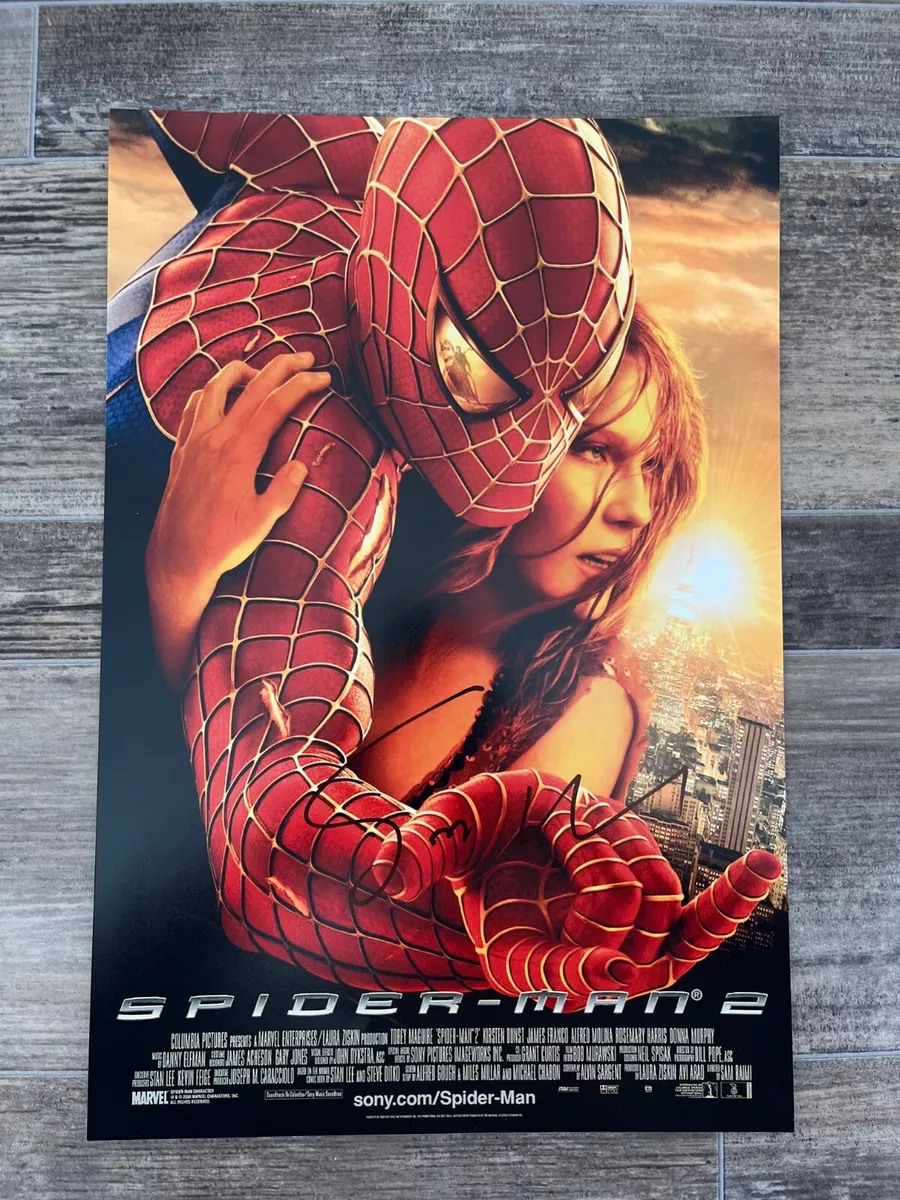 Poster The amazing spiderman 2 - electric