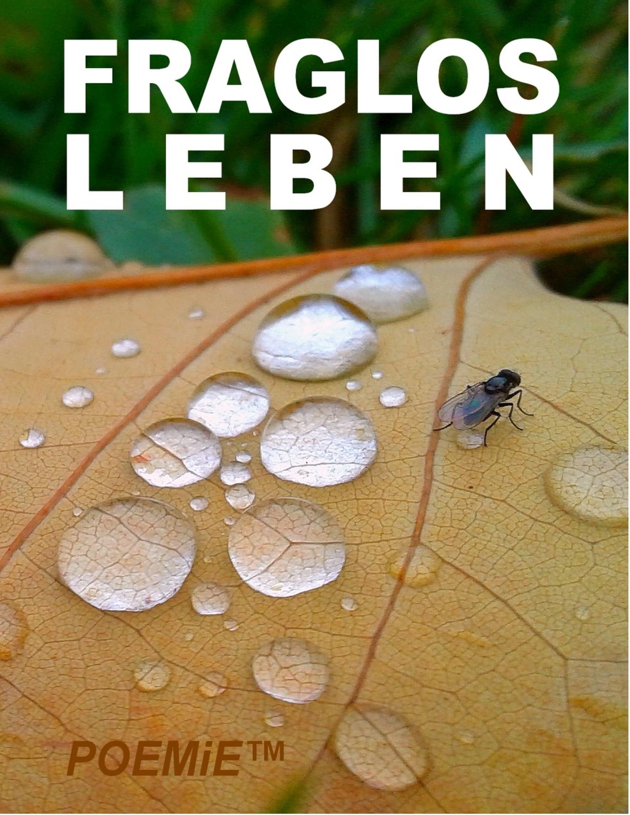 Thumbnail - Fraglos Leben | Tom De Toys (u. A.) | Taschenbuch | Paperback | 64 S.