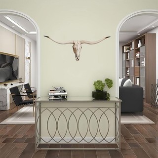 Wall Sculpture Decor Resin Long Horn Bison Bull Skull 1 PCS Wall Decor