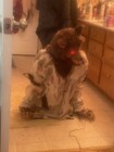 Haunted Hill Farm The Howler Retired Halloween Animatronic W/box — photo 9