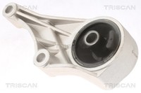 Triscan Motorlager 8505 24100 FüR Opel Meriva GroßRaumlimousine X03 Combo Tour