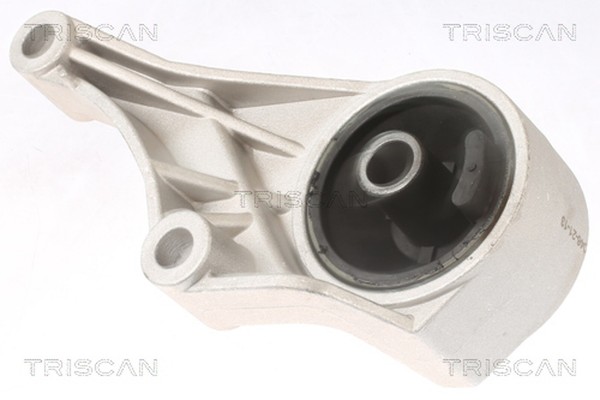 Triscan Motorlager 8505 24100 FüR Opel Meriva GroßRaumlimousine X03 Combo Tour-image