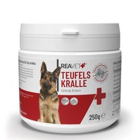 Reavet Afrikanische Teufelskralle 250G Gelenkpulver Sehnen BäNder Hunde Katzen