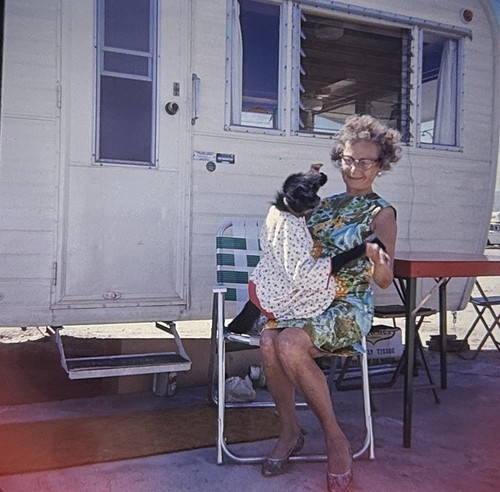 Vintage Photo Slide 1966 Woman Dog Posed - Imagen 1 de 2