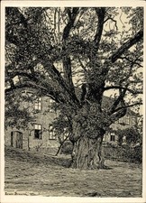 Künstler Ak Braune, Erwin, Vieselbach Erfurt in Thüringen, Auf dem... - 11052915