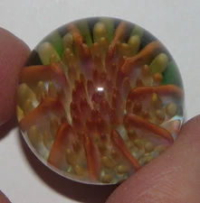1" Art Glass Marble Richard Hollingshead II?-Sea Anemone Look