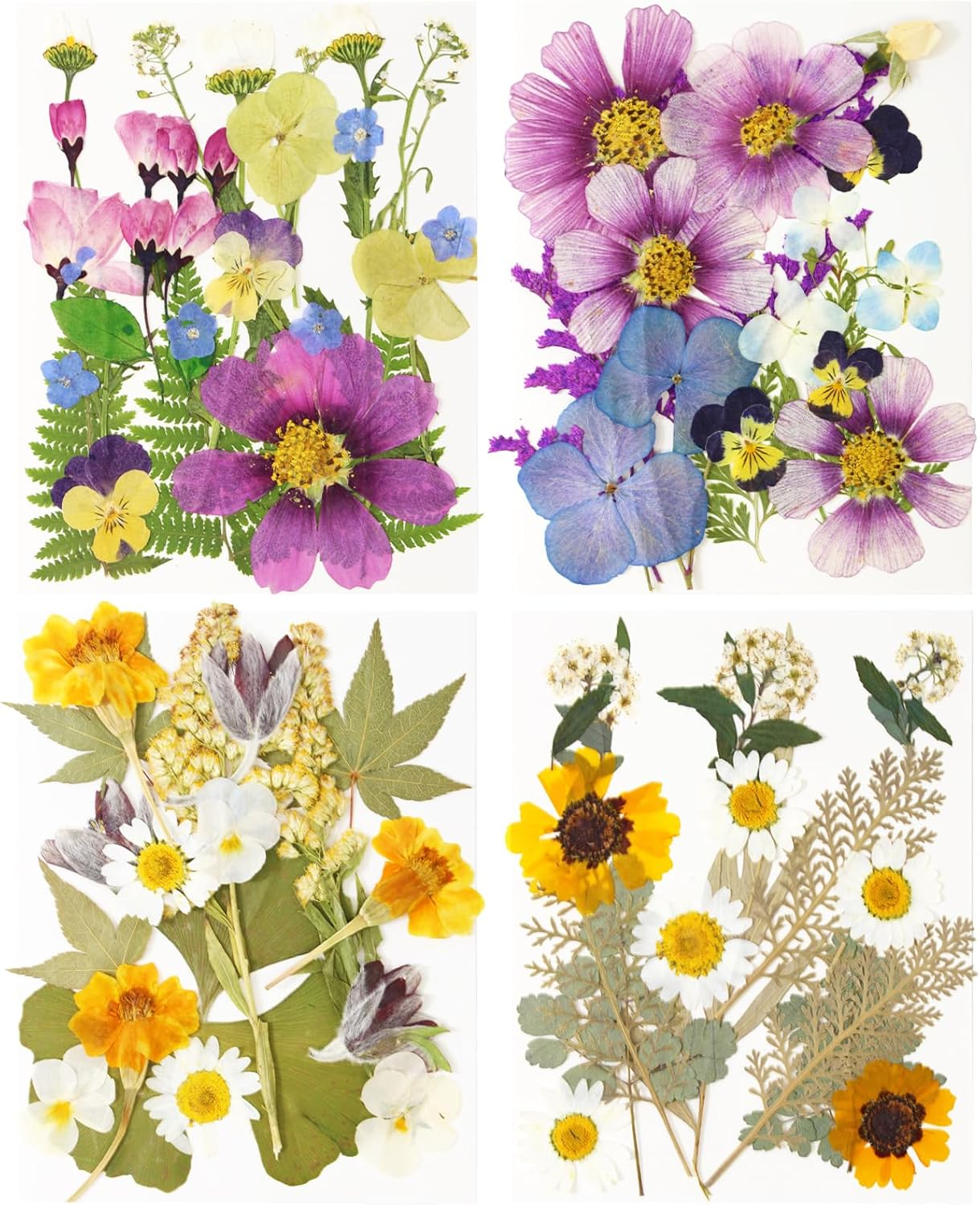 Dried Pressed Flowers, 81 Pcs Bulk Dried Flowers Dry Leaves for DIY Art Crafts-image