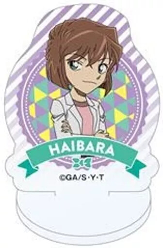 Acrylic Stand Panel Ai Haibara Detective Conan Mini