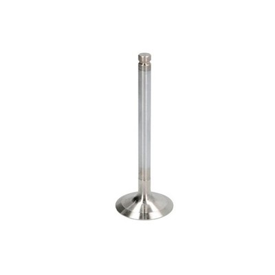   FRECCIA INTAKE VALVE 4989/RCR NEU DE STOCK
