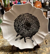 Creative Co-Op Ceramic Aster Graphic Black & White  Decorative Plate 10"x10"