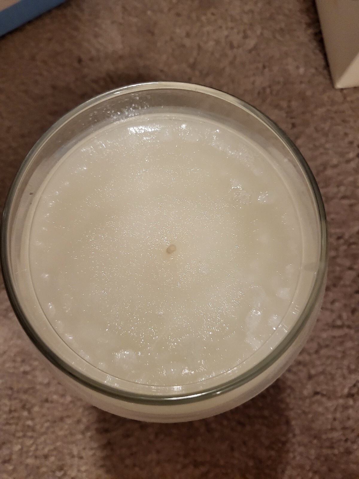 YANKEE CANDLE SNOW ANGELS 22OZ