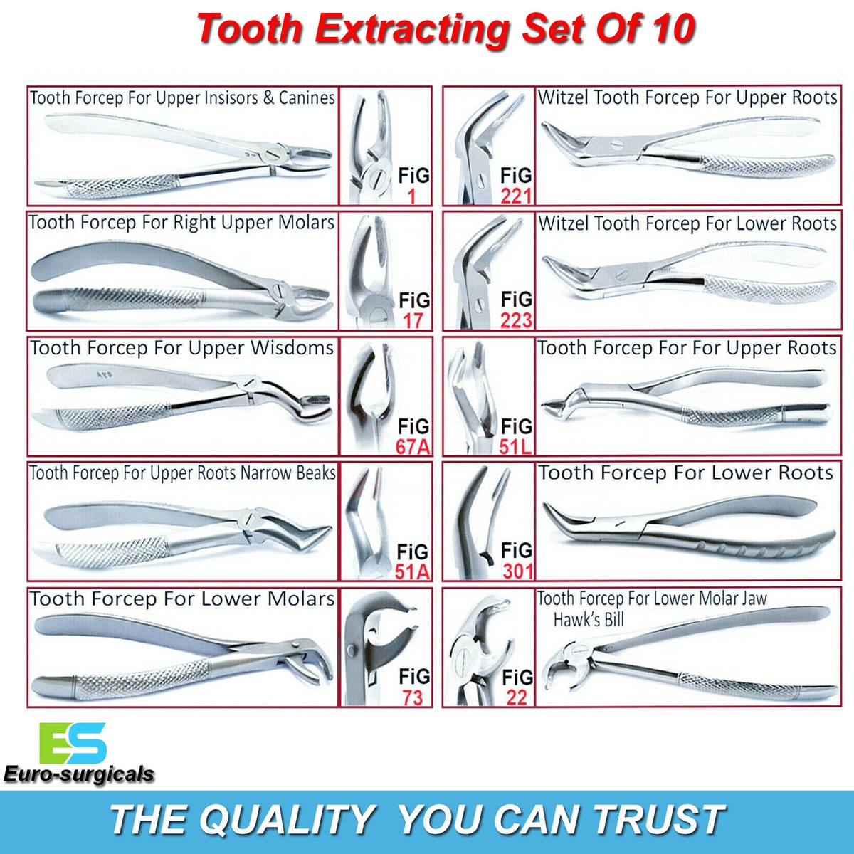Teeth Extraction Instruments Names
