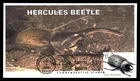 Mayfairstamps US FDC 1999 Indiana eastern hercules beetle ROMP First Day Cover a