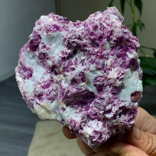 538G Natural Purple Lepidolite/mica Crystal Sample mineral - Museum Grade