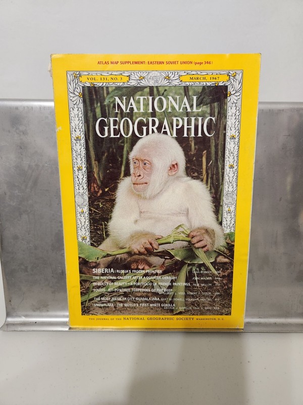 VINTAGE NATIONAL GEOGRAPHIC Magazine March 1967 w/Supplemental Map Collectible