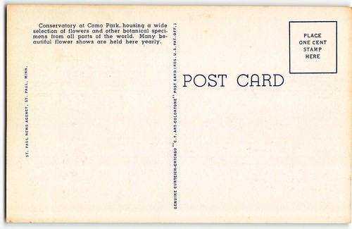 Conservatory at Como Park, St Paul, Minnesota - 1943 Linen Postcard by Teich - Picture 2 of 2