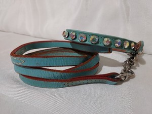 Rare Vtg Rhinestone Jeweled Turquoise Leather Pet Collar & Leash Set 11.5"-13.5"