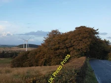 Photo 6x4 Trees beside the Neilston to Dunlop road Gabroc Hill Autumn col c2016