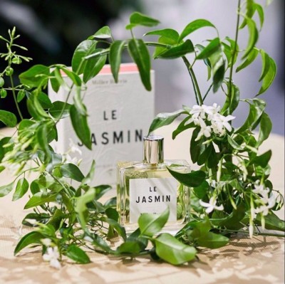 Miller Harris Perfumer's Library Le Jasmin Eau de Parfum